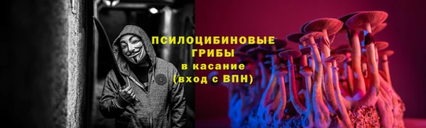 Альфа ПВП Бугульма