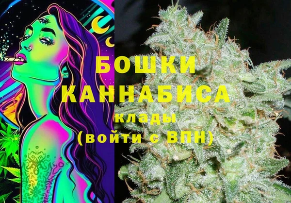 гашик Переславль-Залесский